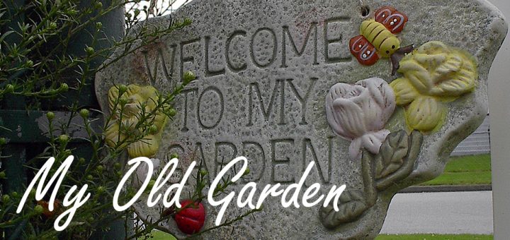 old_garden