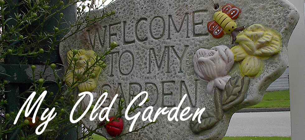 old_garden