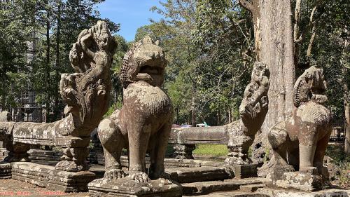 Siem Reap 04