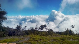 Travel 029a Turrialba