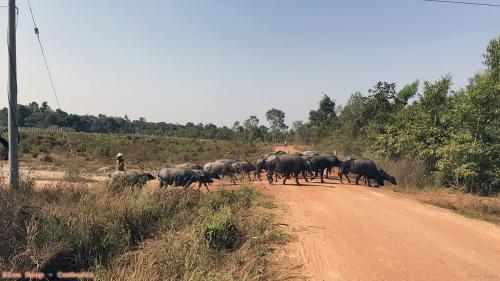 Travel 149 Siem Reap